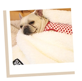 プードルファーベッド