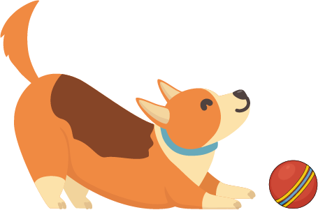 犬