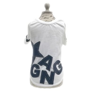 GANGTシャツ