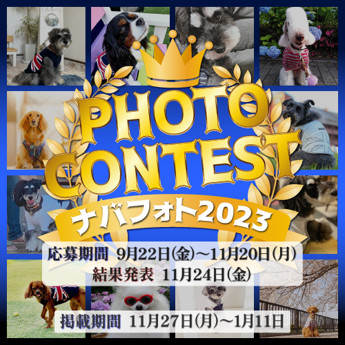 フォトコンテスト2023